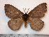  ( - BC-Dec0780)  @14 [ ] Copyright (2010) Unspecified Research Collection of Thibaud Decaens
