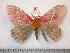  ( - BC-Dec0789)  @13 [ ] Copyright (2010) Unspecified Research Collection of Thibaud Decaens