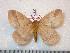  ( - BC-Dec0802)  @15 [ ] Copyright (2010) Unspecified Research Collection of Thibaud Decaens