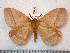  ( - BC-Dec0805)  @14 [ ] Copyright (2010) Unspecified Research Collection of Thibaud Decaens
