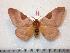  ( - BC-Dec0927)  @14 [ ] Copyright (2010) Unspecified Research Collection of Thibaud Decaens