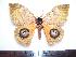  ( - BC-Dec1193)  @13 [ ] Copyright (2010) Unspecified Research Collection of Thibaud Decaens