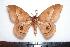  ( - BC-Dec1234)  @13 [ ] Copyright (2010) Unspecified Research Collection of Thibaud Decaens