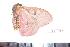  ( - BC-Dec1292)  @12 [ ] Copyright (2010) Unspecified Research Collection of Thibaud Decaens