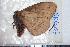  ( - BC-Dec1330)  @12 [ ] Copyright (2010) Unspecified Research Collection of Thibaud Decaens