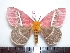  ( - BC-Dec1424)  @13 [ ] Copyright (2010) Unspecified Research Collection of Thibaud Decaens