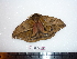  ( - BC-Dec1430)  @12 [ ] Copyright (2010) Unspecified Research Collection of Thibaud Decaens