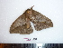  ( - BC-Dec1431)  @12 [ ] Copyright (2010) Unspecified Research Collection of Thibaud Decaens