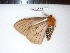  ( - BC-Dec1455)  @12 [ ] Copyright (2010) Unspecified Research Collection of Thibaud Decaens