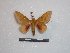  ( - BC-Dec1461)  @13 [ ] Copyright (2010) Unspecified Research Collection of Thibaud Decaens