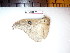  ( - BC-Dec1472)  @12 [ ] Copyright (2010) Unspecified Research Collection of Thibaud Decaens