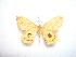 ( - BC-Dec0983)  @12 [ ] Copyright (2010) Unspecified Research Collection of Thibaud Decaens