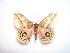  ( - BC-Dec0997)  @13 [ ] Copyright (2010) Unspecified Research Collection of Thibaud Decaens