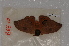  ( - BC-INCT1136)  @12 [ ] CreativeCommons - Attribution Non-Commercial Share-Alike (2014) ECODIV Univ Rouen
