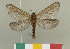  ( - CGCM 48621)  @11 [ ] by-nc-sa (2024) Carlos G.C. Mielke University of Curitiba