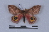  ( - BC-TD2074)  @11 [ ] CreativeCommons - Attribution Share-Alike (2021) Unspecified Universite Montpellier, CEFE Lab