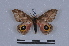  ( - BC-TD2075)  @11 [ ] CreativeCommons - Attribution Share-Alike (2021) Unspecified Universite Montpellier, CEFE Lab