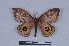  ( - BC-TD2076)  @11 [ ] CreativeCommons - Attribution Share-Alike (2021) Unspecified Universite Montpellier, CEFE Lab
