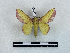  ( - BC-Dec2942)  @11 [ ] by-nc-sa (2024) Thibaud Decaëns Universite Montpellier, CEFE Lab