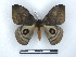  ( - BC-Dec2312)  @11 [ ] by-nc-sa (2023) Thibaud Decaëns Universite Montpellier, CEFE Lab
