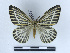  ( - BC-Dec2351)  @11 [ ] by-nc-sa (2023) Thibaud Decaëns Universite Montpellier, CEFE Lab