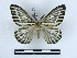  ( - BC-Dec2352)  @11 [ ] by-nc-sa (2023) Thibaud Decaëns Universite Montpellier, CEFE Lab