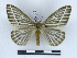  ( - BC-Dec2353)  @11 [ ] by-nc-sa (2023) Thibaud Decaëns Universite Montpellier, CEFE Lab