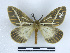  ( - BC-Dec2354)  @11 [ ] by-nc-sa (2023) Thibaud Decaëns Universite Montpellier, CEFE Lab