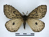  ( - BC-Dec2358)  @11 [ ] by-nc-sa (2023) Thibaud Decaëns Universite Montpellier, CEFE Lab