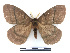  ( - BC-Dec2477)  @11 [ ] by-nc-sa (2023) Thibaud Decaëns Universite Montpellier, CEFE Lab