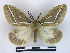  ( - BC-Dec2482)  @11 [ ] by-nc-sa (2023) Thibaud Decaëns Universite Montpellier, CEFE Lab