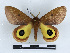 ( - BC-Dec2522)  @11 [ ] by-nc-sa (2023) Thibaud Decaëns Universite Montpellier, CEFE Lab