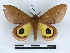  ( - BC-Dec2523)  @11 [ ] by-nc-sa (2023) Thibaud Decaëns Universite Montpellier, CEFE Lab