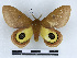 ( - BC-Dec2524)  @11 [ ] by-nc-sa (2023) Thibaud Decaëns Universite Montpellier, CEFE Lab