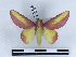  ( - BC-Dec2527)  @11 [ ] by-nc-sa (2023) Thibaud Decaëns Universite Montpellier, CEFE Lab