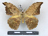 ( - BC-Dec2825)  @11 [ ] by-nc-sa (2023) Thibaud Decaëns Universite Montpellier, CEFE Lab