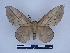 ( - BC-Dec2624)  @11 [ ] by-nc-sa (2023) Thibaud Decaëns Universite Montpellier, CEFE Lab