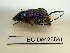  ( - BC-Dec2684)  @11 [ ] by-nc-sa (2024) Thibaud Decaëns Universite Montpellier, CEFE Lab