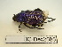  ( - BC-Dec2685)  @11 [ ] by-nc-sa (2024) Thibaud Decaëns Universite Montpellier, CEFE Lab