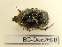  ( - BC-Dec2698)  @11 [ ] by-nc-sa (2024) Thibaud Decaëns Universite Montpellier, CEFE Lab