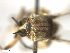  ( - BIOUG-01777-F09)  @11 [ ] CreativeCommons - Attribution (2012) CBG Photography Group Centre for Biodiversity Genomics