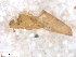  ( - BIOUG-01777-E10)  @11 [ ] CreativeCommons - Attribution (2012) CBG Photography Group Centre for Biodiversity Genomics