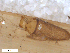  ( - BIOUG01778-E02)  @11 [ ] CreativeCommons - Attribution (2012) CBG Photography Group Centre for Biodiversity Genomics