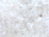  ( - BIOUG01778-E12)  @11 [ ] CreativeCommons - Attribution (2012) CBG Photography Group Centre for Biodiversity Genomics