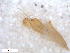  ( - BIOUG01778-G06)  @11 [ ] CreativeCommons - Attribution (2012) CBG Photography Group Centre for Biodiversity Genomics