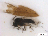  ( - BIOUG01779-A09)  @11 [ ] CreativeCommons - Attribution (2012) CBG Photography Group Centre for Biodiversity Genomics