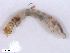  ( - BIOUG01779-E10)  @12 [ ] CreativeCommons - Attribution (2012) CBG Photography Group Centre for Biodiversity Genomics