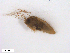  ( - BIOUG01779-F04)  @12 [ ] CreativeCommons - Attribution (2012) CBG Photography Group Centre for Biodiversity Genomics