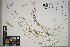  ( - QC23-97)  @11 [ ] CreativeCommons  Attribution Non-Commercial Share-Alike (2024) UBC Herbarium University of British Columbia