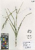  ( - QC2217-1)  @11 [ ] CreativeCommons  Attribution Non-Commercial Share-Alike (2022) Unspecified Beaty Biodiversity Museum